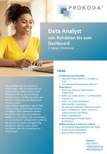 Data Analyst - Von Rohdaten bis zum Dashboard herunterladen