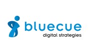 bluecue consulting GmbH & Co. KG