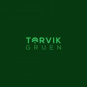Torvik Gruen AI UG (haftungsbeschrnkt)
